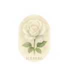 薔薇の花シリーズ:Types of Roses（個別スタンプ：4）