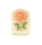 薔薇の花シリーズ:Types of Roses（個別スタンプ：7）