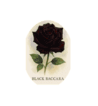 薔薇の花シリーズ:Types of Roses（個別スタンプ：8）