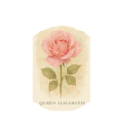 薔薇の花シリーズ:Types of Roses（個別スタンプ：9）