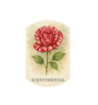 薔薇の花シリーズ:Types of Roses（個別スタンプ：10）