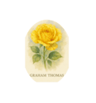 薔薇の花シリーズ:Types of Roses（個別スタンプ：16）