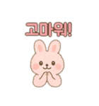 ピンクうさぎ②韓国語バージョン（個別スタンプ：1）