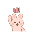 ピンクうさぎ②韓国語バージョン（個別スタンプ：5）