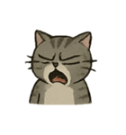 ブチギレ猫の日常（個別スタンプ：5）