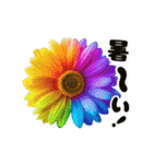 動くカラフルな夏のお花（個別スタンプ：1）
