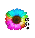 動くカラフルな夏のお花（個別スタンプ：16）