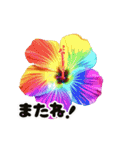 動くカラフルな夏のお花（個別スタンプ：24）