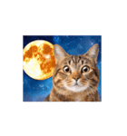 動く！驚く！宇宙猫2 -Space Cat-（個別スタンプ：1）