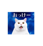 動く！驚く！宇宙猫2 -Space Cat-（個別スタンプ：2）