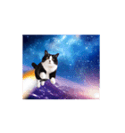 動く！驚く！宇宙猫2 -Space Cat-（個別スタンプ：3）