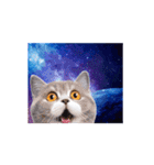 動く！驚く！宇宙猫2 -Space Cat-（個別スタンプ：4）