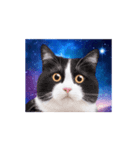 動く！驚く！宇宙猫2 -Space Cat-（個別スタンプ：6）
