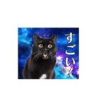 動く！驚く！宇宙猫2 -Space Cat-（個別スタンプ：7）