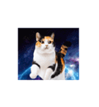 動く！驚く！宇宙猫2 -Space Cat-（個別スタンプ：10）