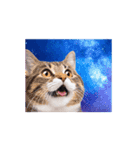 動く！驚く！宇宙猫2 -Space Cat-（個別スタンプ：11）