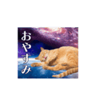 動く！驚く！宇宙猫2 -Space Cat-（個別スタンプ：16）