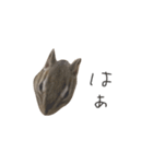 シマリス のかお（個別スタンプ：10）