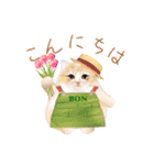 だるまネコLINEスタンプあーちゃん一家（個別スタンプ：5）
