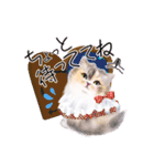 だるまネコLINEスタンプあーちゃん一家（個別スタンプ：12）