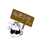 だるまネコLINEスタンプあーちゃん一家（個別スタンプ：13）