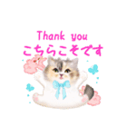 だるまネコLINEスタンプあーちゃん一家（個別スタンプ：14）