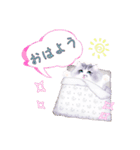 だるまネコLINEスタンプあーちゃん一家（個別スタンプ：16）