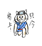 海女さんとネコ2（個別スタンプ：15）