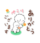 ず～っと使える★癒し★ビションフリーゼ（個別スタンプ：2）