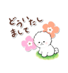 ず～っと使える★癒し★ビションフリーゼ（個別スタンプ：8）