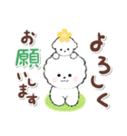 ず～っと使える★癒し★ビションフリーゼ（個別スタンプ：10）