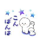 ず～っと使える★癒し★ビションフリーゼ（個別スタンプ：12）
