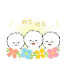 ず～っと使える★癒し★ビションフリーゼ（個別スタンプ：13）