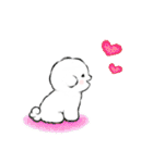 ず～っと使える★癒し★ビションフリーゼ（個別スタンプ：16）
