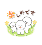 ず～っと使える★癒し★ビションフリーゼ（個別スタンプ：17）