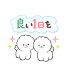 ず～っと使える★癒し★ビションフリーゼ（個別スタンプ：20）