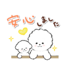 ず～っと使える★癒し★ビションフリーゼ（個別スタンプ：25）