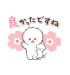 ず～っと使える★癒し★ビションフリーゼ（個別スタンプ：26）