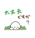 ず～っと使える★癒し★ビションフリーゼ（個別スタンプ：34）