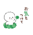 ず～っと使える★癒し★ビションフリーゼ（個別スタンプ：36）