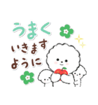 ず～っと使える★癒し★ビションフリーゼ（個別スタンプ：39）