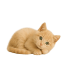 [アレンジ用]子猫の福ちゃん（個別スタンプ：4）