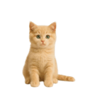 [アレンジ用]子猫の福ちゃん（個別スタンプ：5）