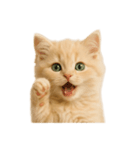 [アレンジ用]子猫の福ちゃん（個別スタンプ：11）