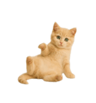 [アレンジ用]子猫の福ちゃん（個別スタンプ：15）