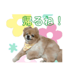 うちの子いちばん♪（個別スタンプ：7）