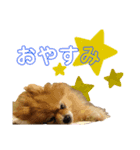 うちの子いちばん♪（個別スタンプ：9）