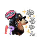 愛犬lucky君（個別スタンプ：8）