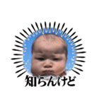 こっちゃんスタンプSPinJP（個別スタンプ：11）