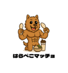 ムキムキマッチョだワン（個別スタンプ：14）